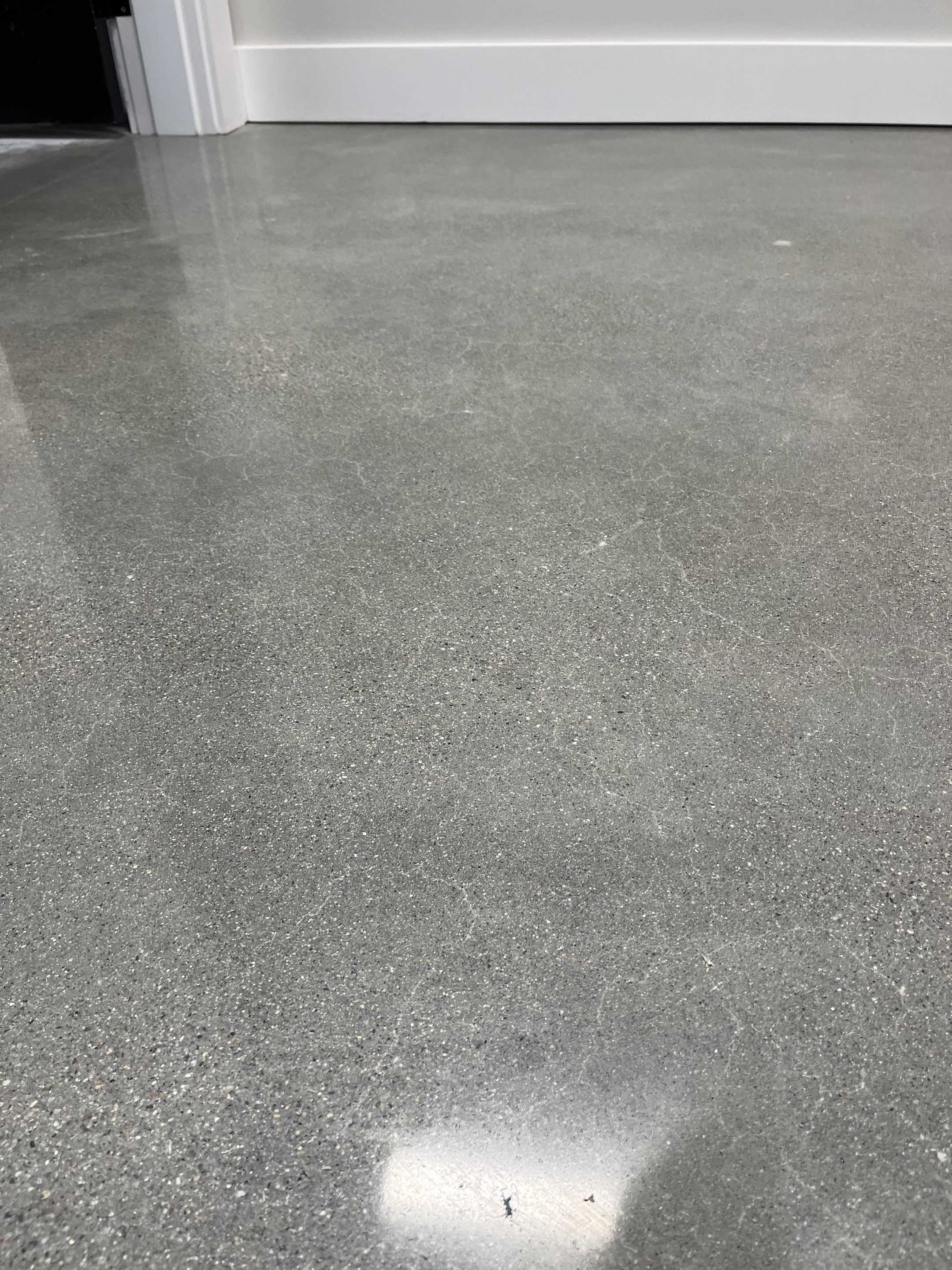 concrete polishing